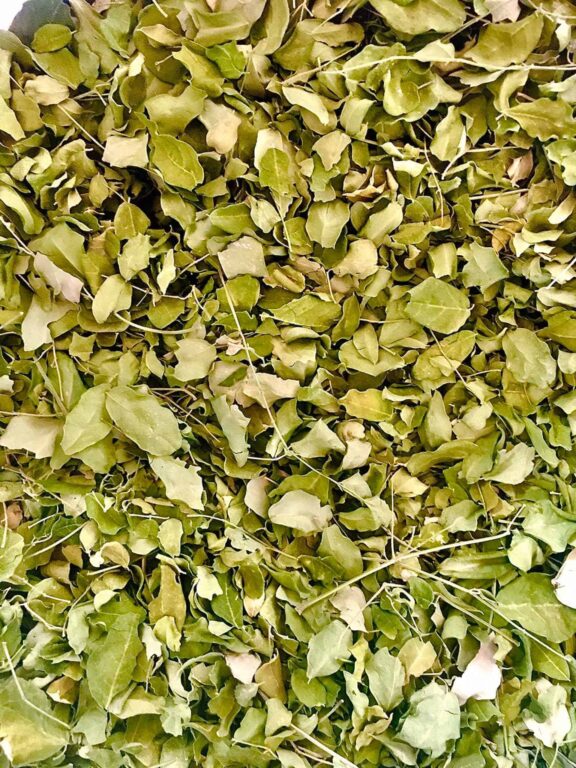 Moringa Leaf Tea
