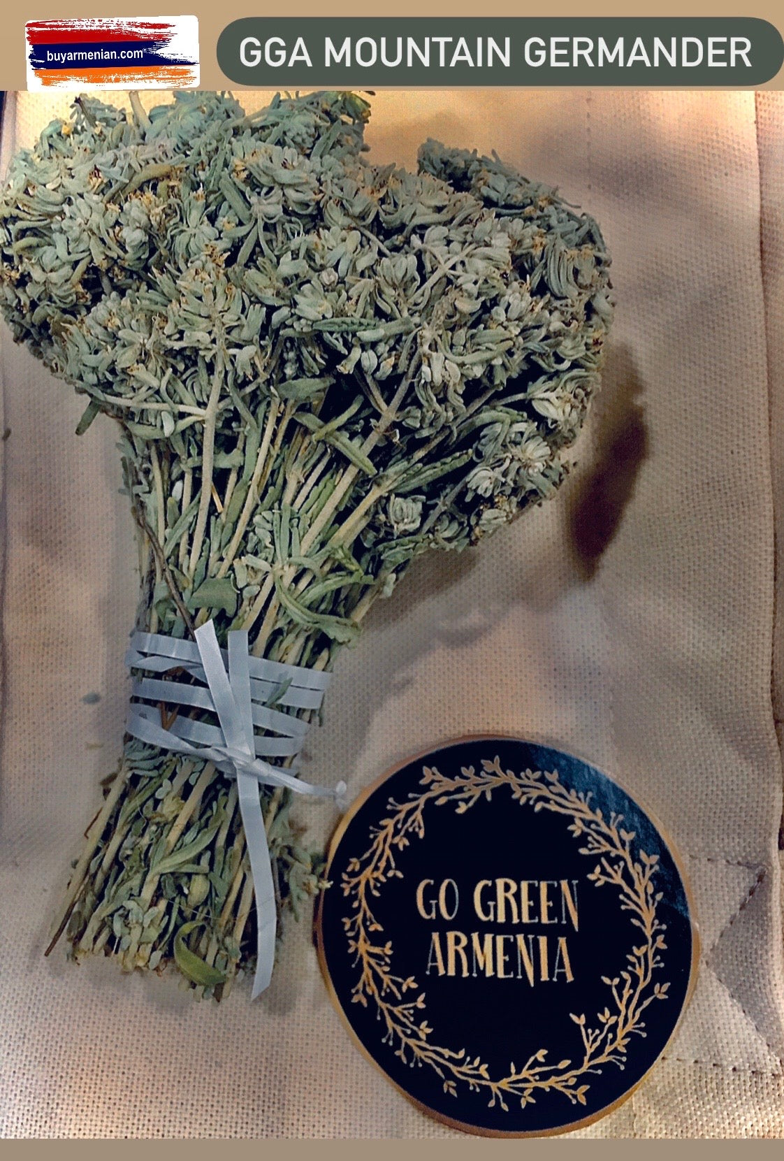 Mountain Germander Tea