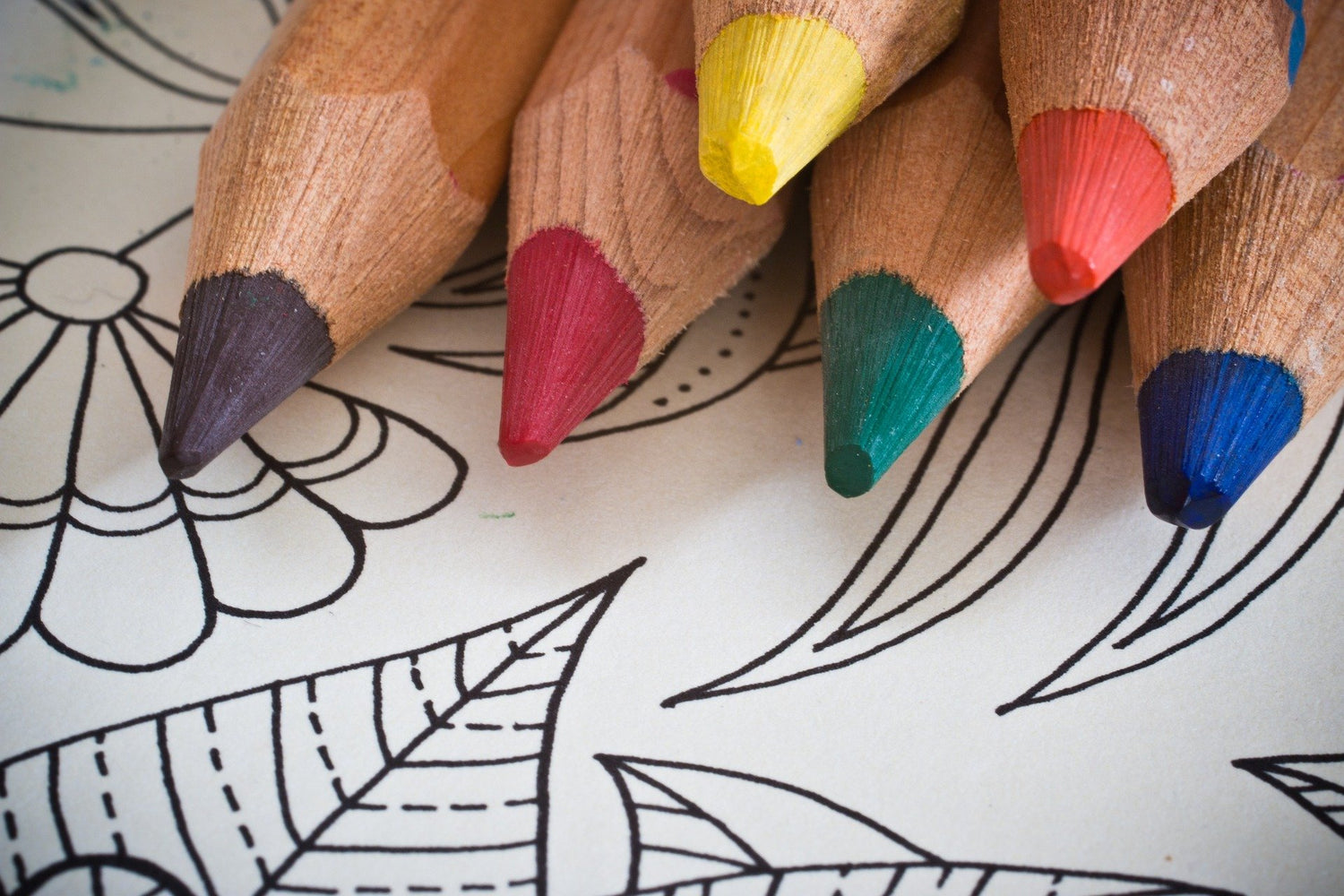 Coloring Books