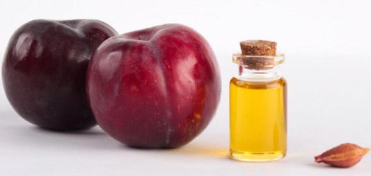 Cold Pressed Black Plum Kernel Oil