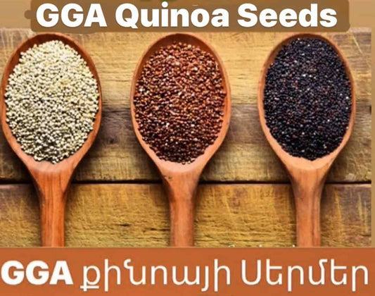 Quinoa
