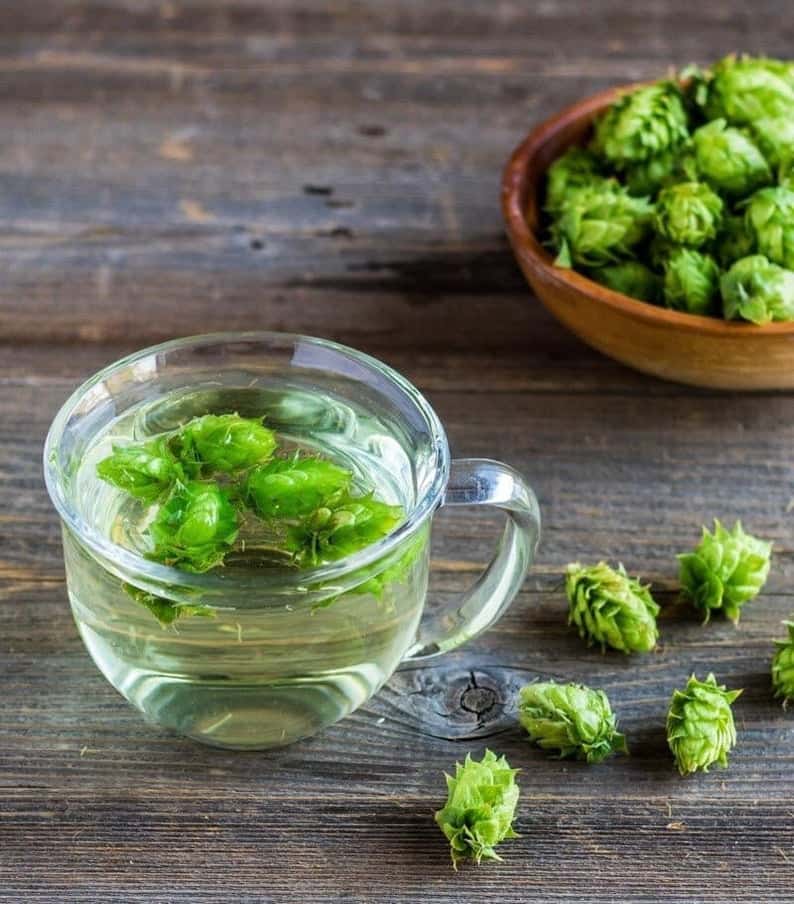 Armenian Hops Flower Tea