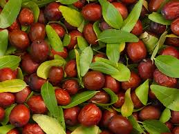 Dried Jujube