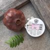 Pomegranate Peel Sugar Scrub, All Natural, Perfect Exfoliator For Dry Skin