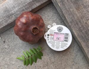 Pomegranate Peel Sugar Scrub, All Natural, Perfect Exfoliator For Dry Skin