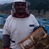 EU & USDA Organic Certified Armenia Raw Honey 600g From Sage Flowers of Artsakh Karavajar Village