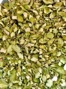 Moringa Leaf Tea, grown in Armenia
