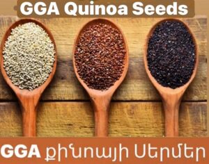 Quinoa, Grown in Armenia, Choose from Red, White and Black
