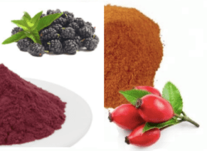 Rosehip and Blackberry Powder, Organic Certified, Made in Armenia