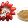 Rosehip and Cornelian Cherry Powder, Organic Certified, Made in Armenia