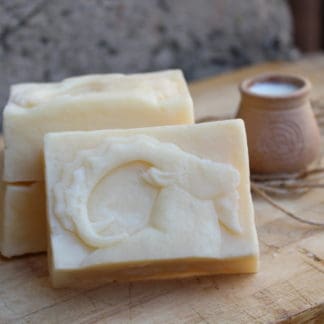 New Goat's Milk Soap Making Kit - DIY Gateway