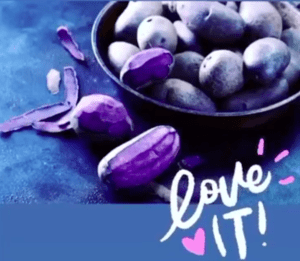 Purple Potatoes Grown in Lori Region of Armenia