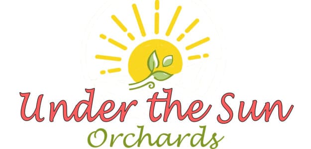 Under the Sun Orchards