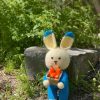 Amigurumi , crochet Carrot Bunny