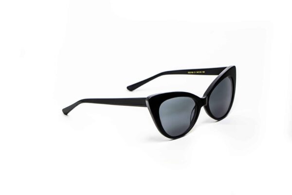 Danz Sunglasses Model DZ2109S1- Black