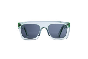Danz Sunglasses Model DZ3103C4