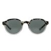Danz Sunglasses Model DZ1801S39