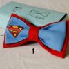 "Superman & Batman" Bow