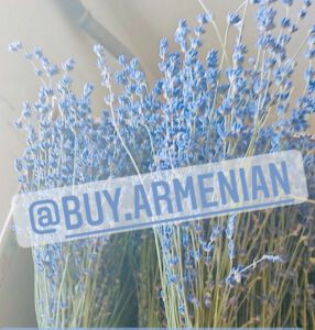 GGA English Aromatic Lavender Grown in Armenia