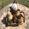 "Cart With Shepherd" Handmade Toy