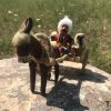 "Cart With Shepherd" Handmade Toy