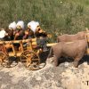 "Cart With Armenian Musicians" Handmade Toy