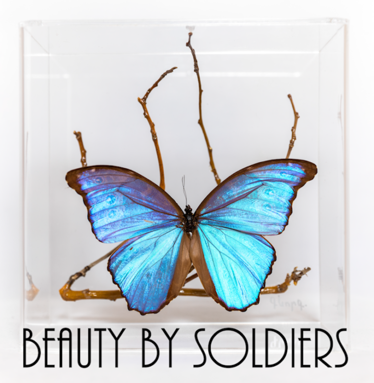 Beauty By Soldiers