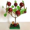 Pomegranate tree (03)
