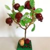 Pomegranate tree (03)