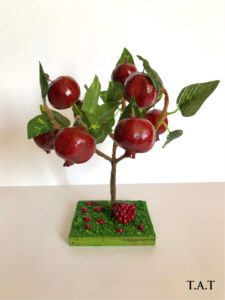 Pomegranate tree (02)