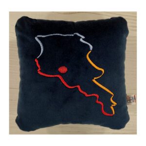 An Embroidered Pillow (Square) By Misma
