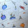 "Little Prince" Silk Scarf