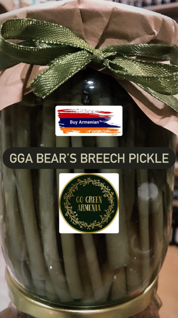 Bear's Breech Pickle