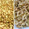 Armenian Green Buckwheat 450g