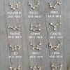 Silver Zodiac Necklace