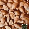 Apricot Kernels Seeds Stones Laetrile