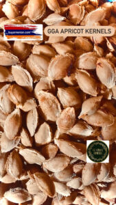 GGA Apricot Kernels Seeds Stones Laetrile, amygdalin, Vitamin B17