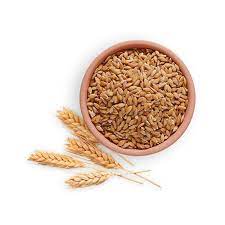 GGA Hachar Spelt Hulled or Emmer Wheat (Հաճար) 1kg Niacin, Vitamin B3, Magnesium, Iron, Health Health