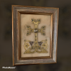 Armenian Cross In Frame