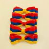 Armenian flag hair clip for little girls (2 Pack)