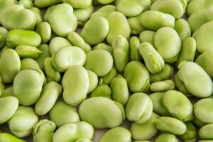 GGA Green Lima Beans Grown in Arevshat 600g