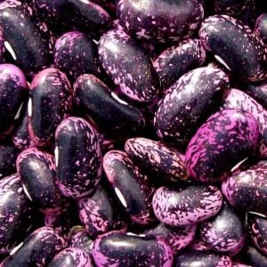 GGA Heirloom Scarlet Runner Beans grown in Arevshat, Armenia 600g