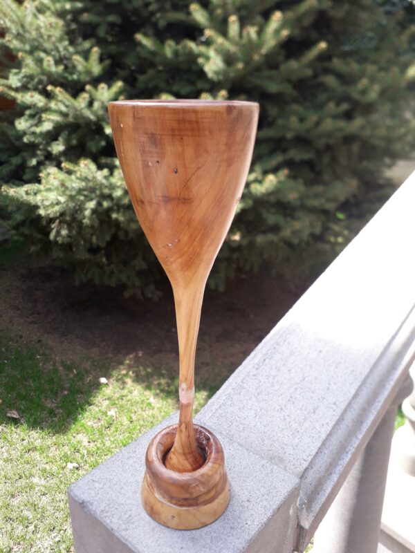 Apricot wood bowl with a ring