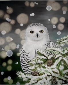 Snowy owl 🦉