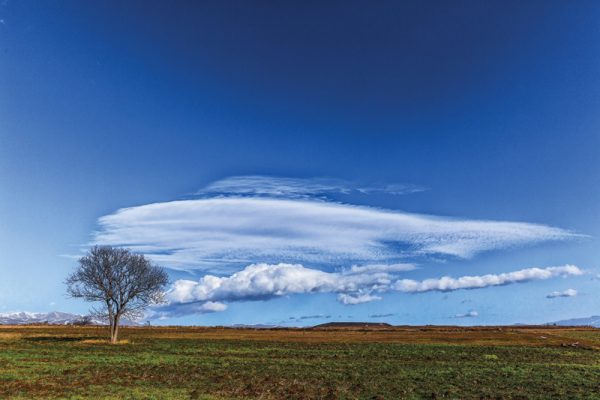 The brush for painting clouds. Photo print.