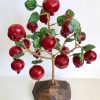 Pomegranate tree (06)