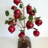 Pomegranate tree (06)