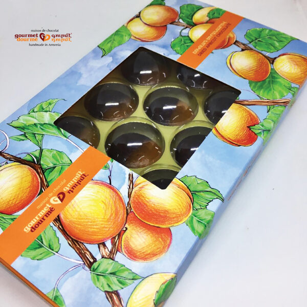 Box - Dried Apricots & Dark Chocolate