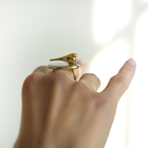 Unusual Ring For Woman, Minimalist Jewelry, Statement Ring, Modern ring, Solid Silver Ring, Chunky ring, Animal Ring, Bird Ring, Animal