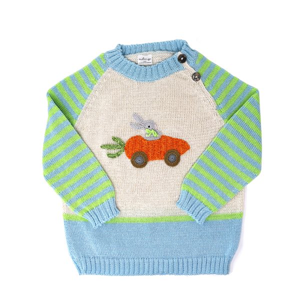 Carrot Car Easter Sweater for Kids